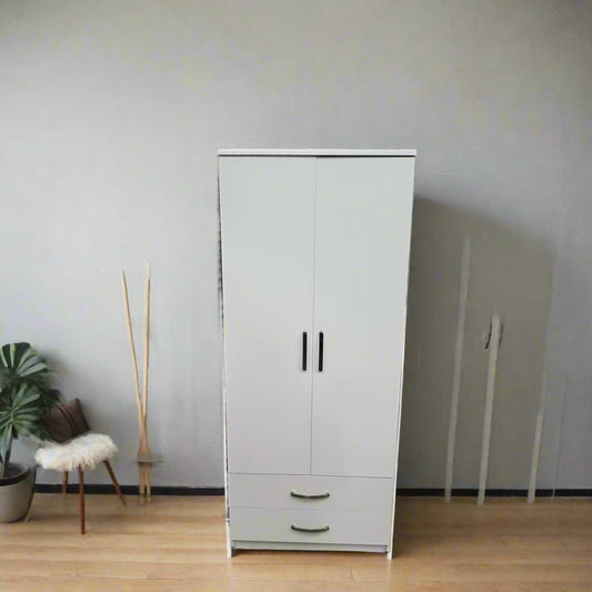 2-Door Wardrobe – Stylish & Functional Storage Solution